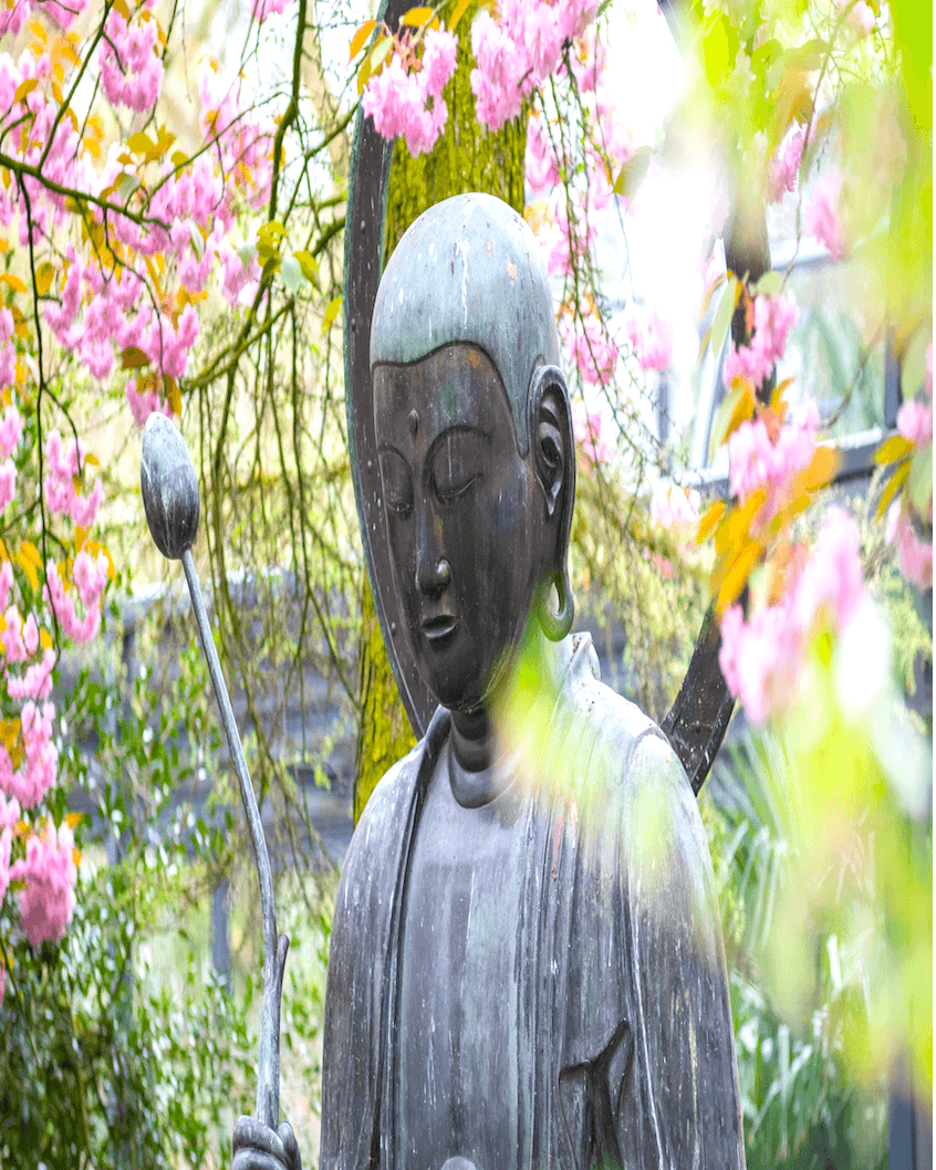 alt="Clarity Buddha Stillness"